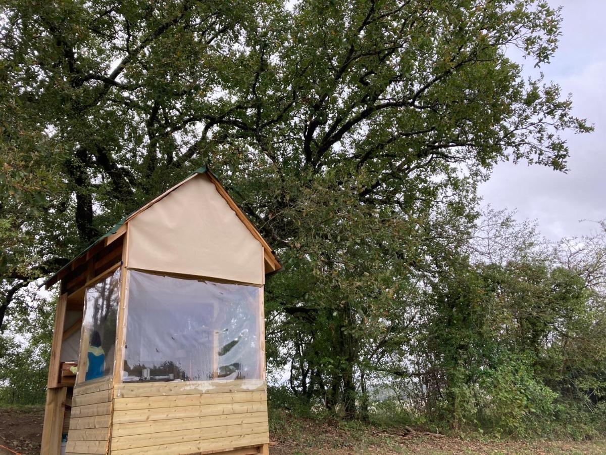 Cabane Bivouac Avec Echelle A L'Ombre Des Chenes Idrac-Respailles Bagian luar foto